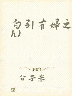 勾引有妇之夫(h)
