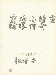 宠物小精灵之写轮眼传奇