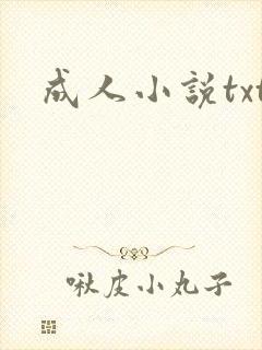 成人小说txt封面