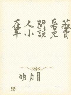 在人间采薇陆三平小说免费阅读