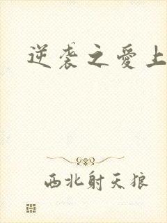 逆袭之爱上情敌