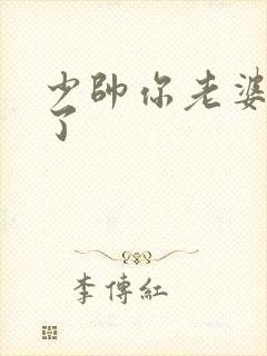 少帅你老婆又跑了