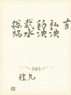 总裁的私有宝贝祸水泱泱