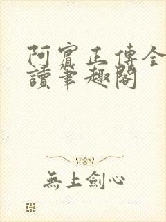 阿宾正传全文阅读笔趣阁