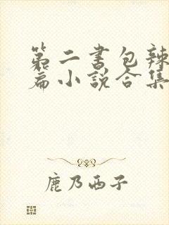 第二书包辣网短篇小说合集