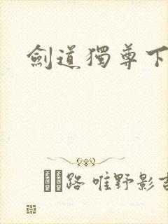 剑道独尊下载封面