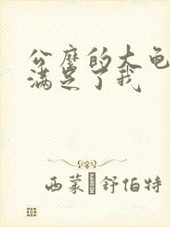 公么的大龟强大满足了我