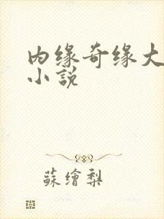 内缘奇缘大团圆小说