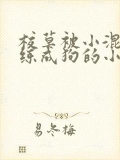 校草被小混混训练成狗的小说