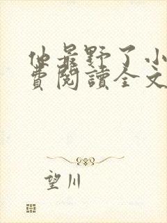 他最野了小说免费阅读全文