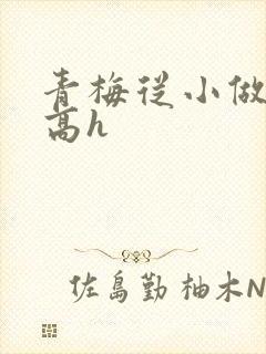 青梅从小做到大高h封面