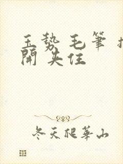 玉势 毛笔 撑开 夹住