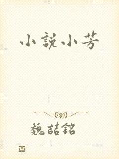 小说小芳