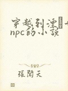 穿越到湮婸世界npc的小说