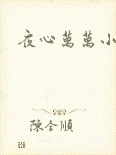 夜心万万小说
