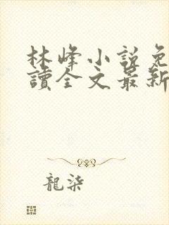 林峰小说免费阅读全文最新章节