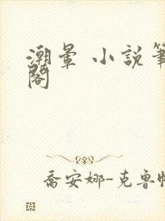 潮晕 小说笔趣阁