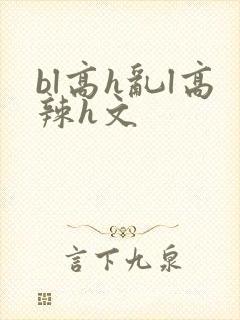 bl高h乱l高辣h文封面