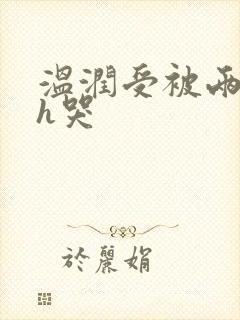 《温润受被两个攻h哭》小说封面