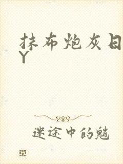 抹布炮灰日记BY