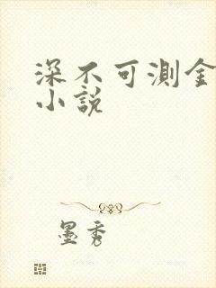深不可测金银花小说