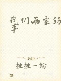 我们两家的荒唐事