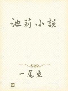 池莉小说
