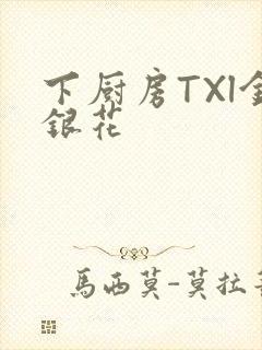 下厨房TXl金银花