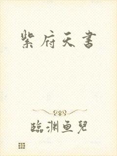 紫府天书
