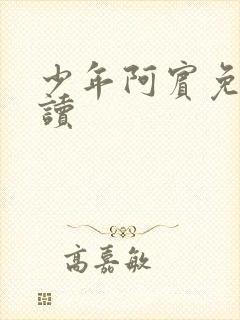 少年阿宾免费阅读
