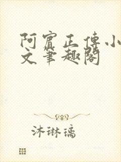 阿宾正传小说全文笔趣阁