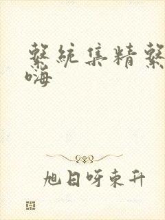 系统集精系统高嗨