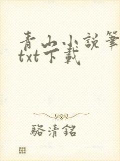 青山小说笔趣阁txt下载