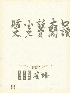 赌小说木口银全文免费阅读笔趣阁