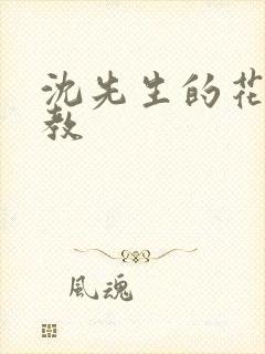 沈先生的花式调教