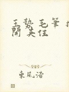 玉势 毛笔 撑开 夹住