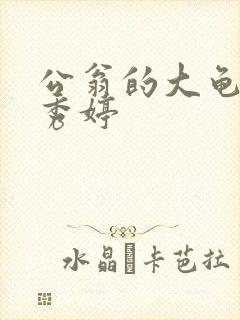 公翁的大龟挺进秀婷封面