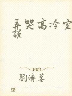 弄哭高冷室友小说