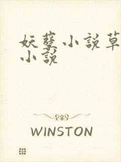 妖孽小说草莓酱小说