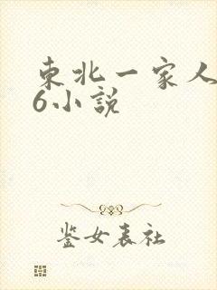 东北一家人1一6小说