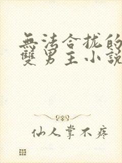 无法合拢的总裁双男主小说