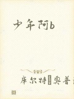 少年阿b