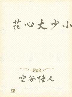 花心大少小说