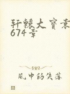 轩辕大宝袁雪妃674章