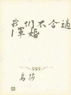 我们不合适1v1军婚