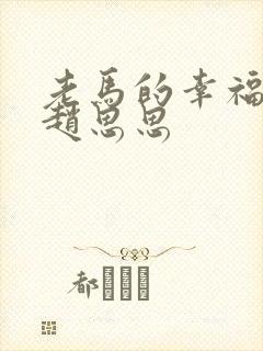 老马的幸福生活赵思思