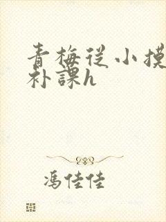 青梅从小摸到大补课h
