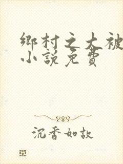 乡村之大被同眠小说免费