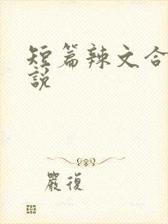 短篇辣文合集小说