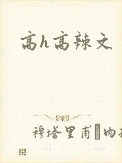 高h高辣文